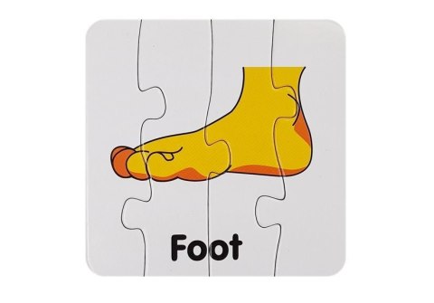 LEAN TOYS Puzzle Edukacyjne Układanka Części Ciała 10 Połączeń Angielski