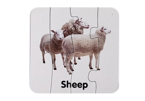 LEAN Toys Puzzle Edukacyjne Układanka Dzikie Zwierzęta 10 Połączeń Angielski