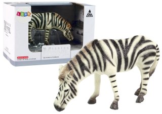 LEAN Toys Duża Figurka Kolekcjonerska Zebra Zwierzęta Świata