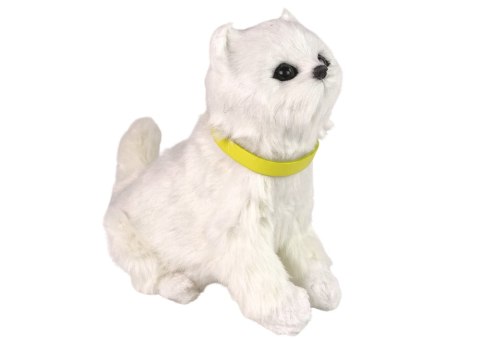 LEAN Toys Interaktywny Kot Kotek Pluszowy Miauczy Rusza Głową i Ogonem