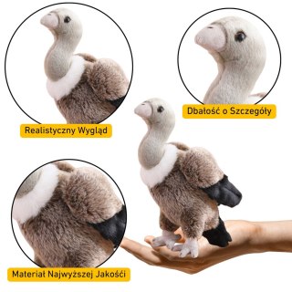 LEAN Toys Pluszowy Sęp Ptak Pluszak Maskotka Przytulanka 25cm