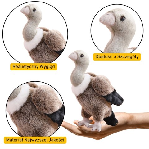 LEAN Toys Pluszowy Sęp Ptak Pluszak Maskotka Przytulanka 25cm