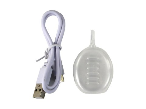 LEAN Toys Model Samolotu Na Akumulator Napęd Frykcyjny Ładowarka Para 3 Rodzaje