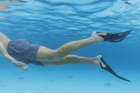 Bestway Zestaw Do Nurkowania Maska, Rurka, Płetwy Czarny Bestway 25020