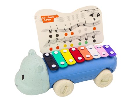 LEAN Toys Cymbałki Hipopotam Na Kółkach Instrument Dla Dzieci Kolorowe Edukacyjne