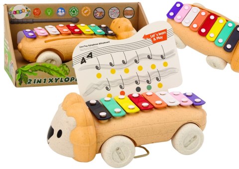 LEAN Toys Cymbałki Lew Na Kółkach Instrument Dla Dzieci Kolorowe Edukacyjne