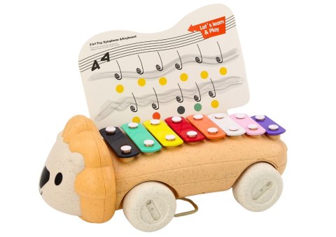 LEAN Toys Cymbałki Lew Na Kółkach Instrument Dla Dzieci Kolorowe Edukacyjne