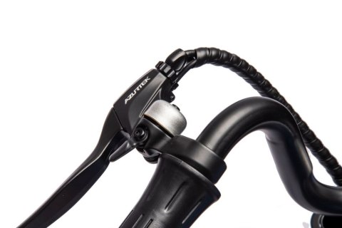 LEAN CARS Motor Na Akumulator A9902 36V Niebieski