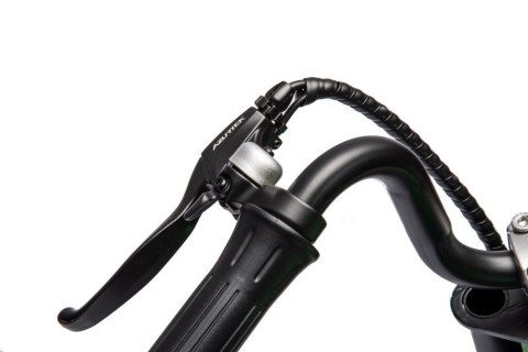 LEAN CARS Motor Na Akumulator A9902 36V Zielony