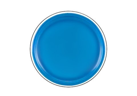 LEAN TOYS Dysk Latający Frisbee z Dinozaurem Niebieski 20 Cm