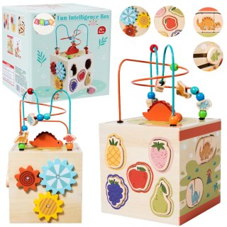 LEAN Toys Kostka Edukacyjna Sensoryczna Sorter 5 Płaszczyzn Drewniana