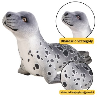 LEAN Toys Pluszowa Maskotka Przytulanka Foka Szara 37cm