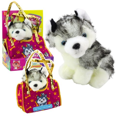 LEAN Toys Piesek Husky W Torebce Pluszowy Maskotka Przytulanka Biało Szary