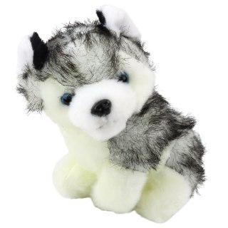 LEAN Toys Piesek Husky W Torebce Pluszowy Maskotka Przytulanka Biało Szary