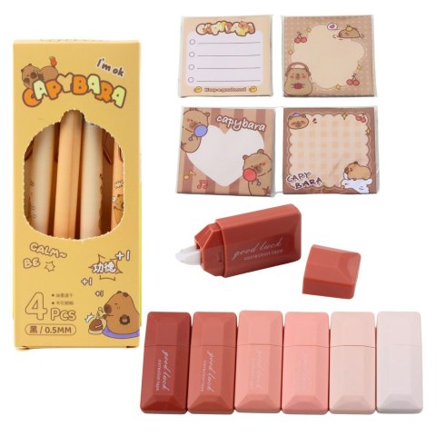 LEAN Piórnik Szkolny Dwukomorowy Z Kieszonkami Dodatki Kapibara 21x12 cm