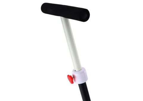 LEAN Trike Rower Trójkołowy PRO50 Rowerek Z Rączką Do Prowadzenia Czarny