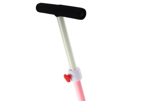 LEAN Trike Rower Trójkołowy PRO50 Rowerek Z Rączką Do Prowadzenia Różowy