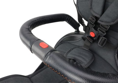 LEAN Trike Rower Trójkołowy PRO550 Czarny