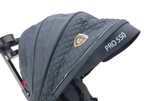 LEAN Trike Rower Trójkołowy PRO550 Czarny