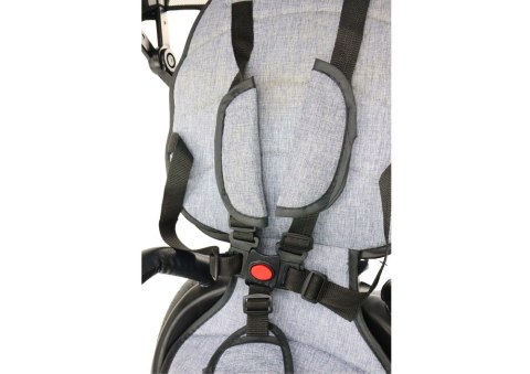 LEAN Trike Rower Trójkołowy PRO550 Szary