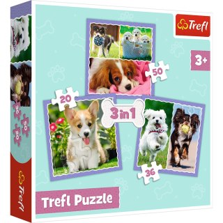 Trefl Puzzle Puzzle - 3w1 (20, 36, 50) - Urocze pieski - Trefl 34854