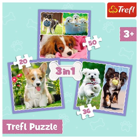 Trefl Puzzle Puzzle - 3w1 (20, 36, 50) - Urocze pieski - Trefl 34854