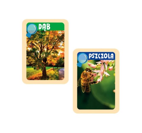 Clementoni Naukowa Zabawa Odkrywcy Natury Lornetka Przyroda Język Polski Clementoni 50894