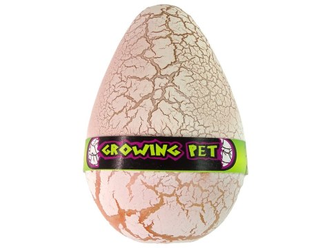 LEAN TOYS Rosnące Jajo Dinozaura 12 cm