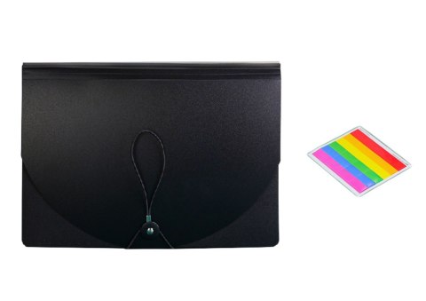 LEAN Organizer Teczka Z Przegródkami Kolorowa Zakładki Dokumenty A4