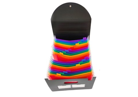 LEAN Organizer Teczka Z Przegródkami Kolorowa Zakładki Dokumenty A4