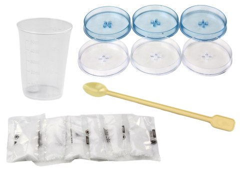 LEAN Toys Zestaw Edukacyjny Kreatywny Do Hodowli Drzewek Krystalicznych