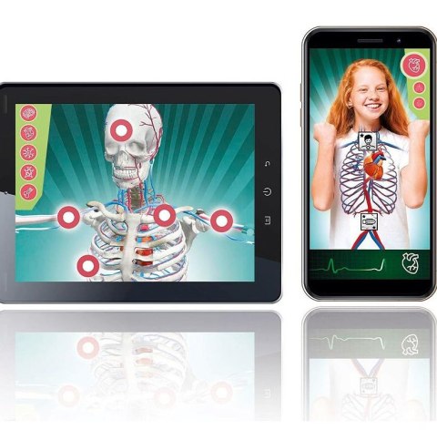 Clementoni Naukowa Zabawa Super Anatomia Język Polski Clementoni 50919