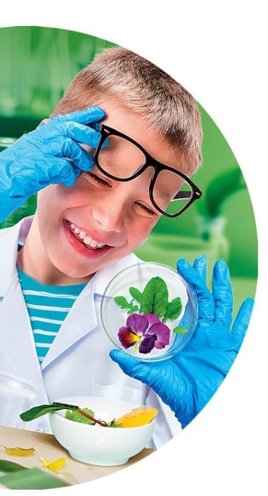 Clementoni Zestaw Naukowa Zabawa Super Mikroskop Język Polski Clementoni 50755