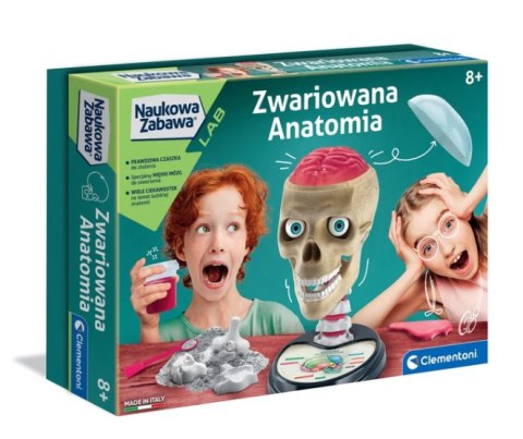 Clementoni Naukowa Zabawa Zestaw Zwariowana Anatomia Język Polski Clementoni 50697