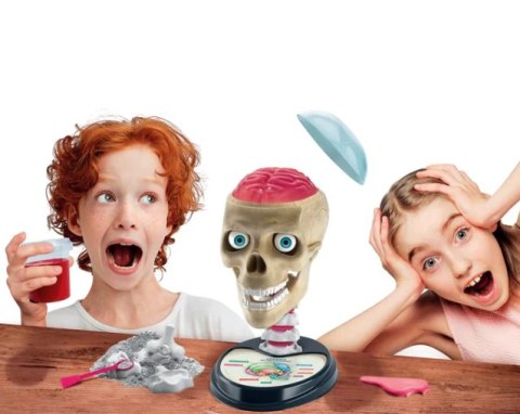 Clementoni Naukowa Zabawa Zestaw Zwariowana Anatomia Język Polski Clementoni 50697
