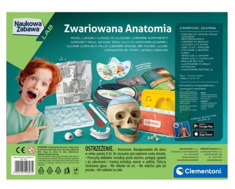 Clementoni Naukowa Zabawa Zestaw Zwariowana Anatomia Język Polski Clementoni 50697