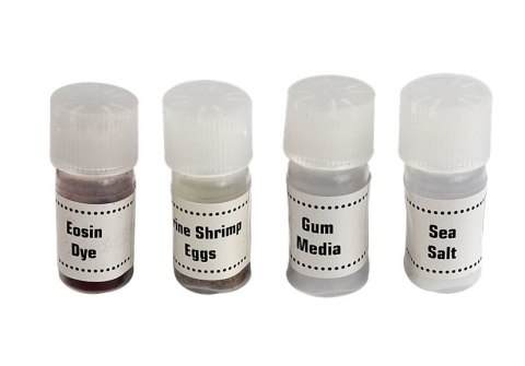 LEAN Toys Mikroskop Dziecięcy Walizka Nauka 300x 600x 1200x