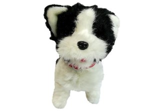 LEAN Toys Pies Husky Na Smyczy Sterowany Pilot Kość Biało- Czarny