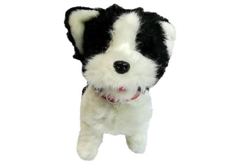 LEAN Toys Pies Husky Na Smyczy Sterowany Pilot Kość Biało- Czarny