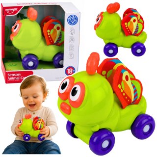 LEAN TOYS Interaktywna Zabawka Autko Pszczółka Sensoryczna Dla Malucha Zielona