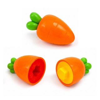 LEAN Toys Sorter Edukacyjny Marchewki Dopasowywanie Kształtów Kolorów 12 szt.