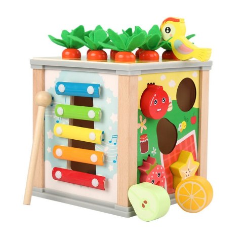LEAN Toys Drewniana Kostka Edukacyjna Sorter 5W1 Układanka Skrzynka Klocki