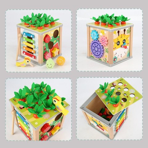 LEAN Toys Drewniana Kostka Edukacyjna Sorter 5W1 Układanka Skrzynka Klocki
