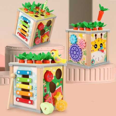 LEAN Toys Drewniana Kostka Edukacyjna Sorter 5W1 Układanka Skrzynka Klocki
