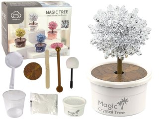 LEAN Toys Magiczne Drzewko Hodowla Kryształów Doświadczenia Srebrne
