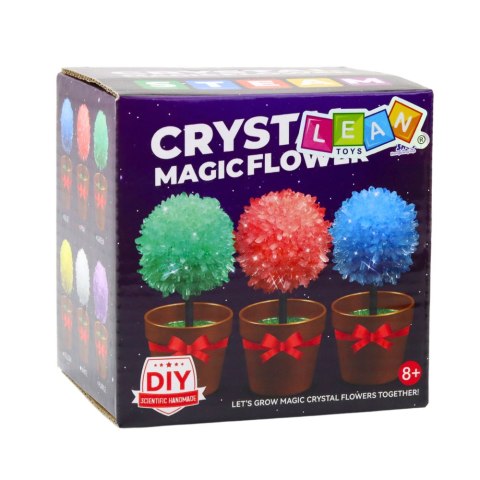 LEAN TOYS Hodowla Kryształów Magiczne Drzewko Kryształowe Eksperyment Edukacyjny