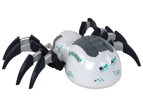 LEAN Toys Duży Pająk Zdalnie Sterowany RC Na Baterie Biało-Szary