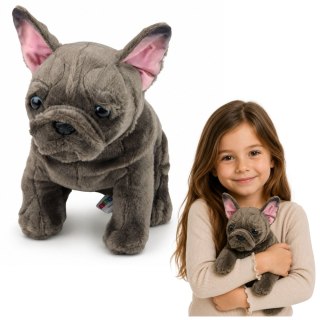 LEAN Toys Pluszowa Maskotka Przytulanka Piesek Buldog Francuski Brązowy 22 cm