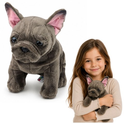 LEAN Toys Pluszowa Maskotka Przytulanka Piesek Buldog Francuski Brązowy 22 cm