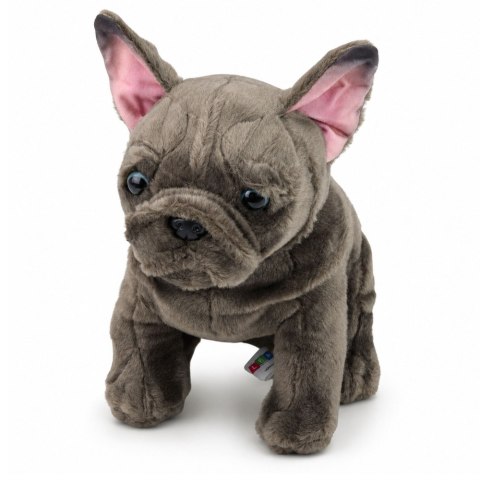 LEAN Toys Pluszowa Maskotka Przytulanka Piesek Buldog Francuski Brązowy 22 cm